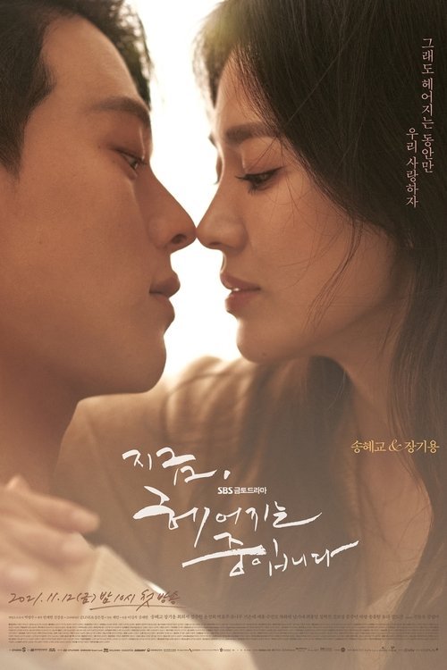 지금 헤어지는 중입니다